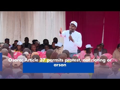 Osoro: Article 37 permits protest, not rioting or arson