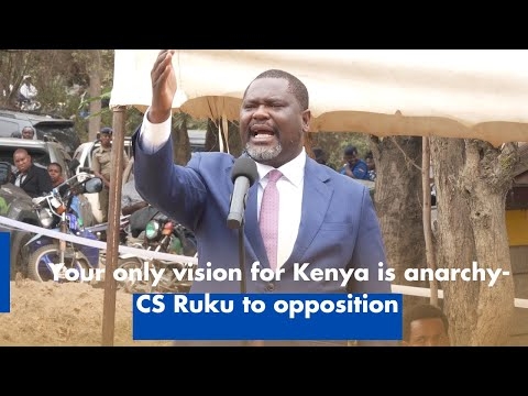Your only vision for Kenya is anarchy - CS Ruku to opposition