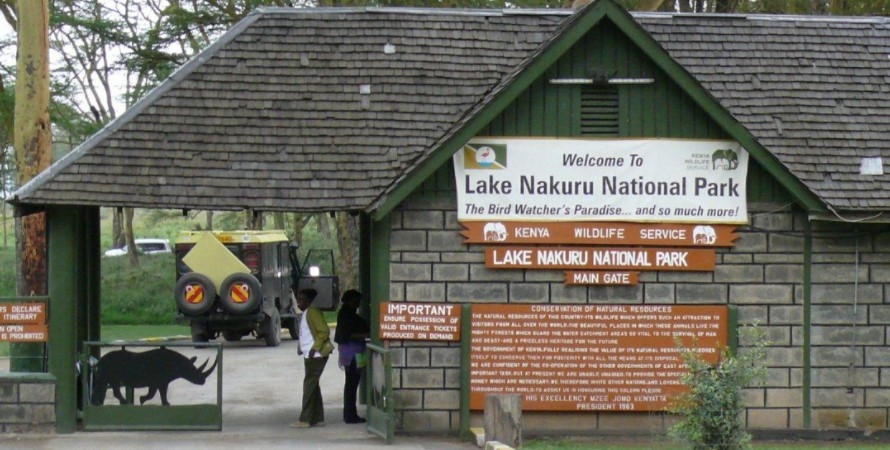 KWS: No free entry to Lake Nakuru Park on Saturday