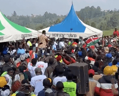 Why Kaluma Boy is trending