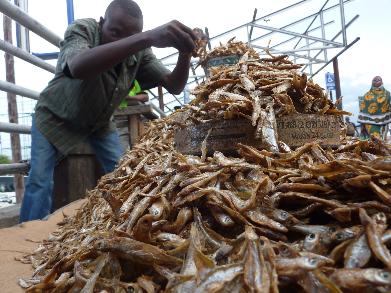 COOKING WITH KARZ: Omena, ugali and mrenda